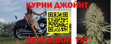 гидропоника Будённовск