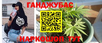 гидропоника Будённовск
