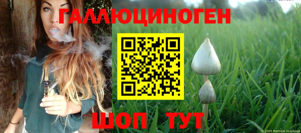 Псилоцибиновые грибы прущие грибы Строитель