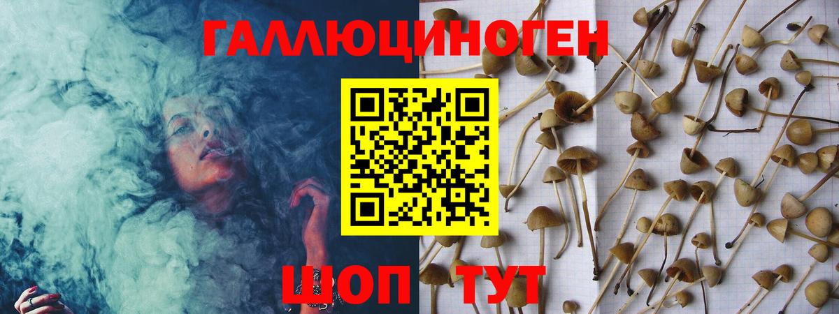 Псилоцибиновые грибы GOLDEN TEACHER  Псилоцибиновые грибы Magic Shrooms  Вход с VPN  Строитель 